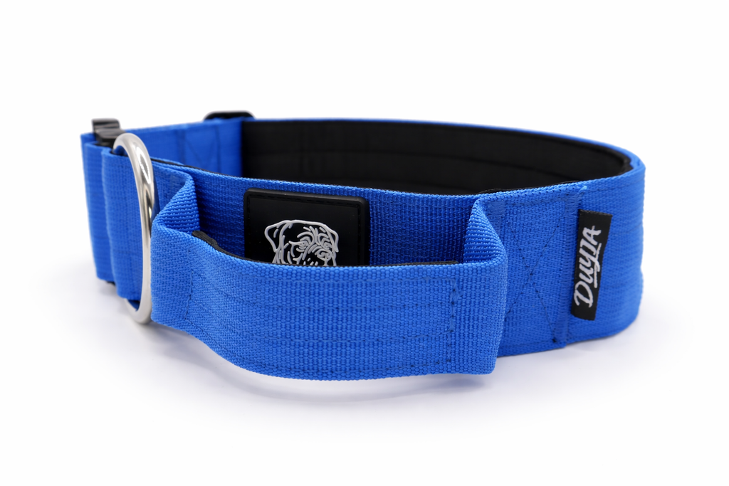 Taktisches Hundehalsband KÖNIGSBLAU 5cm