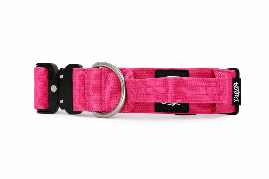Taktisches Halsband FUCHSIA 5cm
