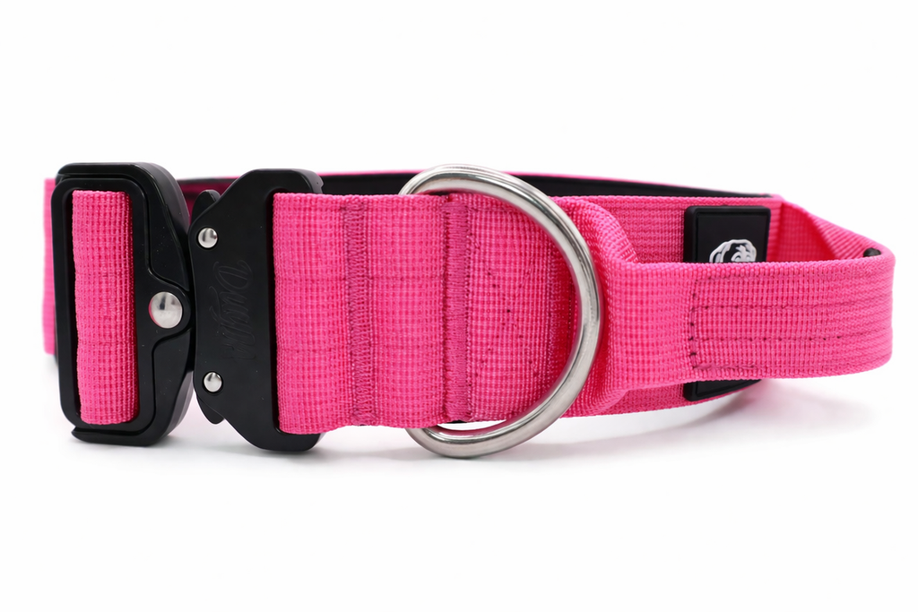 Taktisches Halsband FUCHSIA 5cm