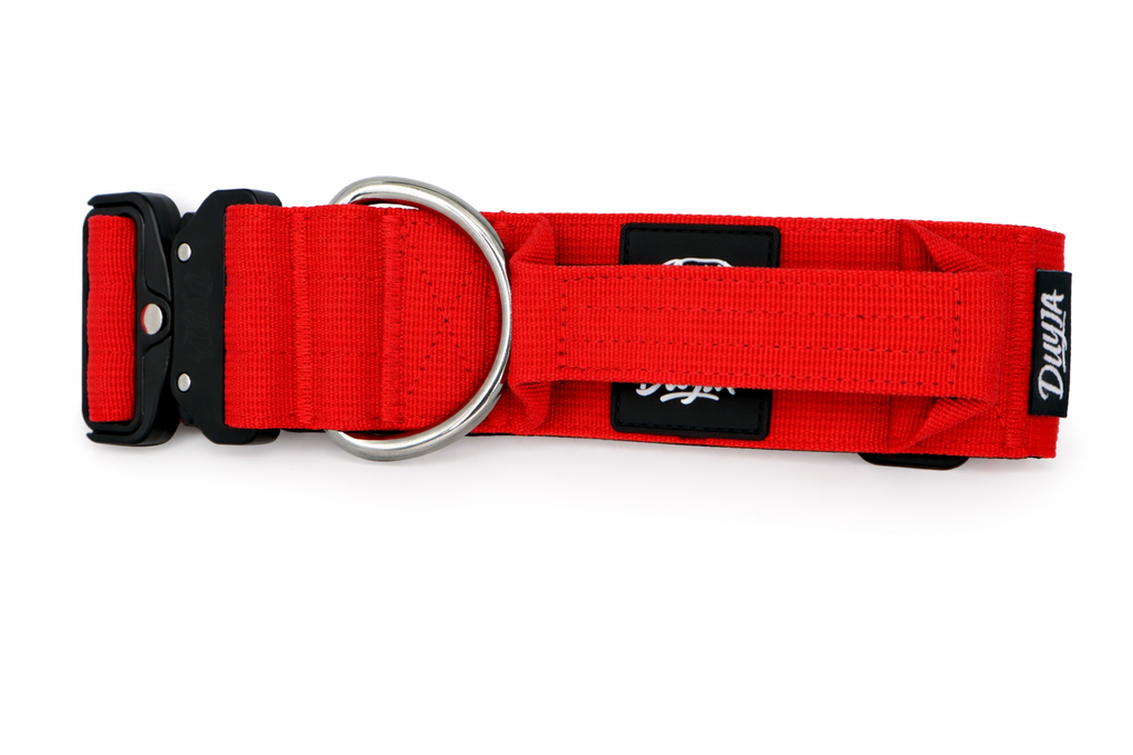 Taktisches Hundehalsband ROT 5cm