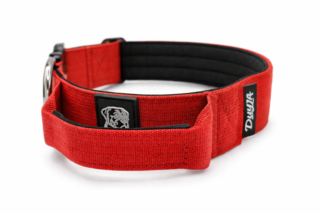 Taktisches Hundehalsband ROT 5cm