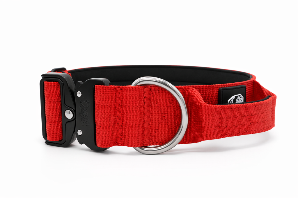 Taktisches Hundehalsband ROT 5cm